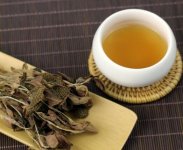 金線蓮泡茶一次放幾根？