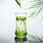 正宗的竹葉青產(chǎn)自哪里？