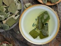 荷葉茶為什么叫短命茶？