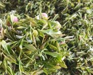 臨沂特產(chǎn)送人必買清單？